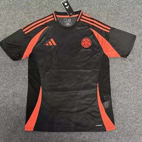 24-25 Adidas season America's Cup football uniform new quick-drying customized short-sleeved T-shirt sports uniform men(40 styles)-1898