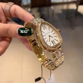 Bvlgari diamond encrusted snake bracelet snake-shaped watch for women(40 styles)-2089